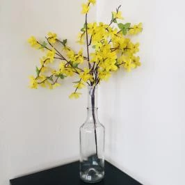 Éjjeli Bagoly Panzió Szentes - Egyéb