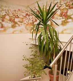 Andante Hotel étterme