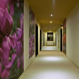 Andante Hotel étterme Szentgotthárd - Egyéb