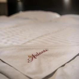 Andante Hotel és Étterem Szentgotthárd - Szobák