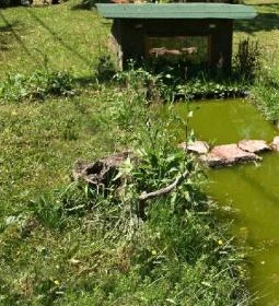 Csaliti Vendégház Őrség