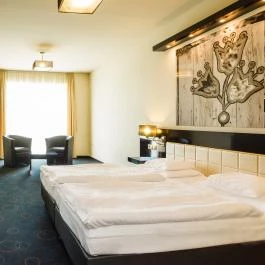 Gotthard Therme Hotel & Conference Szentgotthárd - Szobák