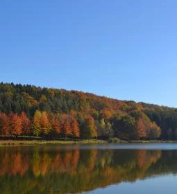 7. legjobb látnivaló: Hársas-tó