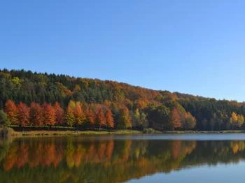 Hársas-tó Szentgotthárd