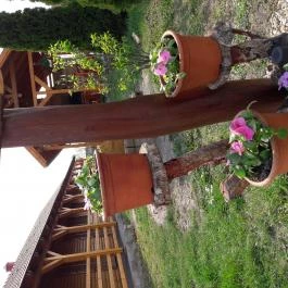 Duna Parti Vendégházak Szigetbecse - Egyéb