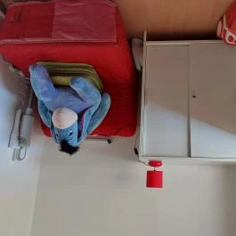 Szamóca Vendégház Szigetmonostor - Külső kép