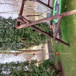 Szamóca Vendégház Szigetmonostor - Medence/kert