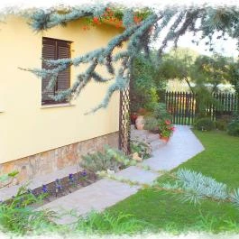 Vöcsök Villa Szigetszentmárton - Medence/kert