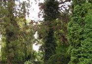 Vöcsök Villa Szigetszentmárton