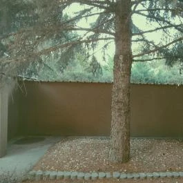 1 Day Apartman Szigetszentmiklós - Medence/kert