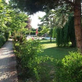 Oázis Wellness Panzió Szigetszentmiklós - Medence/kert