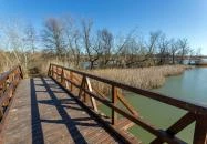 Szigetszentmiklós - Úszóláp tanösvény