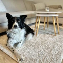 Fehér Borház Szigetvár - Belső