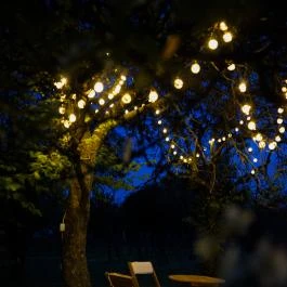 Fehér Borház Szigetvár - Medence/kert