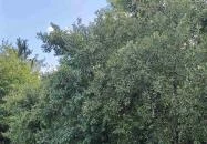 Fehér Borház Szigetvár