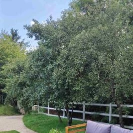 Fehér Borház Szigetvár - Külső kép