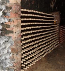 Novák Pince Vendégfogadó