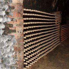 Novák Pince Vendégfogadó Szigetvár - Szórakozás/Sport