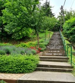 Legnagyobb öble a Balatonnak - Kultúrlépcső