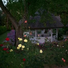 Szőlőskert Panzió Szigliget - Környék