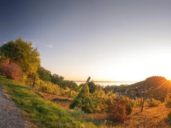 Szőlőhegyi Szentháromság Kápolna Szigliget