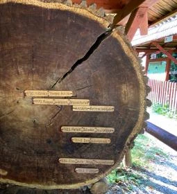 Zilahy Aladár Erdészeti Múzeum