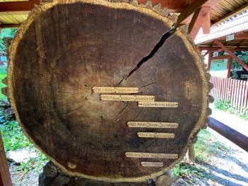 Zilahy Aladár Erdészeti Múzeum Szilvásvárad