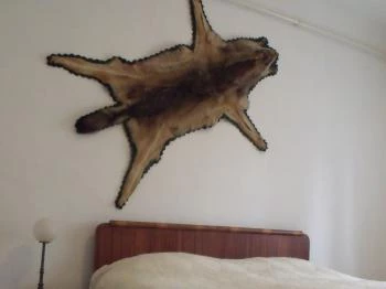 Avar Vendégház Szilvásvárad