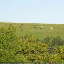 Bodzavirág Vendégház Szilvásvárad - Környék