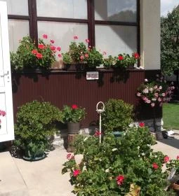 Czakó Vendégház és Nyaralóudvar