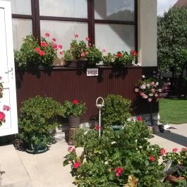 Czakó Vendégház és Nyaralóudvar Szilvásvárad - Medence/kert