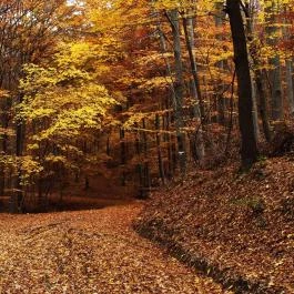 Fátyol Vendégház Szilvásvárad - Egyéb