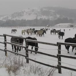 Aliz Villa Szilvásvárad - Egyéb