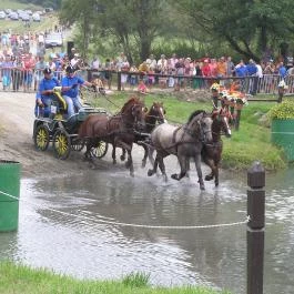 Aliz Villa Szilvásvárad - Egyéb