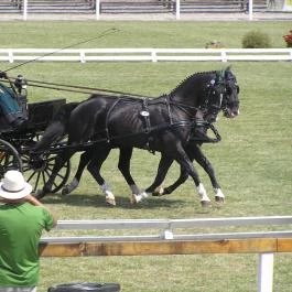 Aliz Villa Szilvásvárad - Egyéb