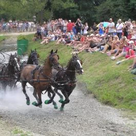 Aliz Villa Szilvásvárad - Egyéb