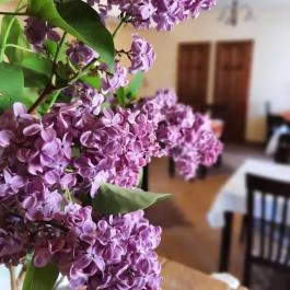 Aliz Villa Szilvásvárad - Vendéglátás