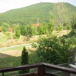 Hegyi Panzió Szilvásvárad - Medence/kert