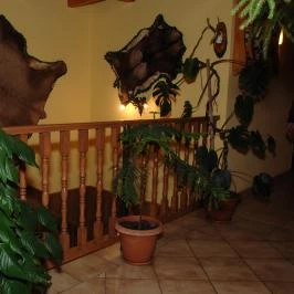 Hócza Vendégház Szilvásvárad - Belső