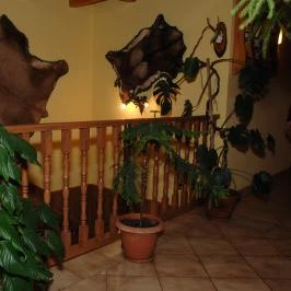 Hócza Vendégház Szilvásvárad - Belső