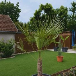 Lilla Apartmanházak Szilvásvárad - Egyéb