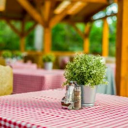 Lipicai Hotel Szilvásvárad - Vendéglátás