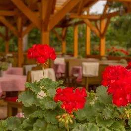 Lipicai Hotel Szilvásvárad - Medence/kert