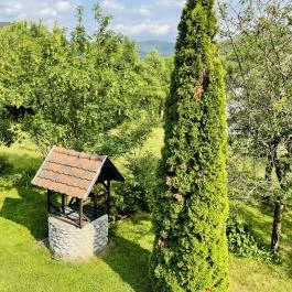 Szilvásvárad Camping & Apartman Szilvásvárad - Medence/kert