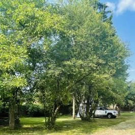 Szilvásvárad Camping & Apartman Szilvásvárad - Medence/kert