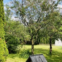 Szilvásvárad Camping & Apartman Szilvásvárad - Medence/kert