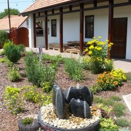 Tip-Top Lak Szilvásvárad - Medence/kert