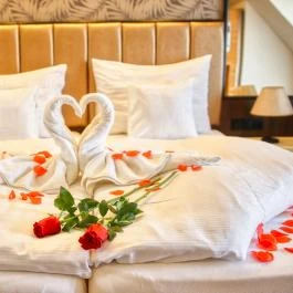 Villa Park Panzió Szilvásvárad - Egyéb