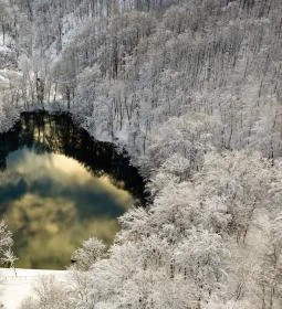 Felső-tó, Sipovics tengerszem