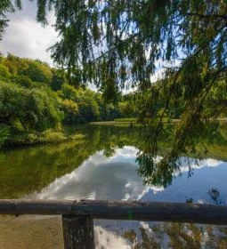 Felső-tó, Sipovics tengerszem